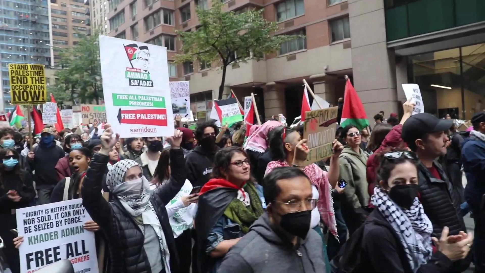 Adam wilson __youtube